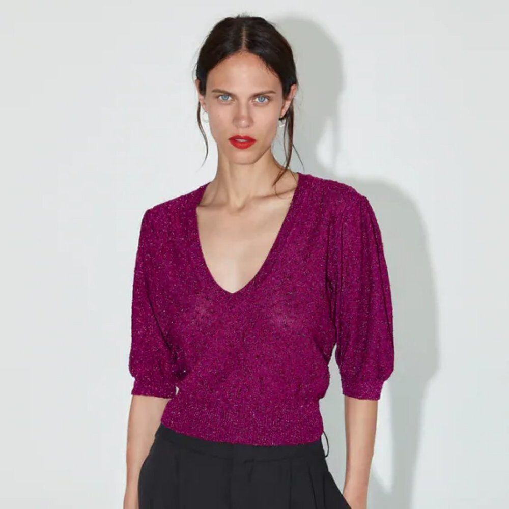 Zara Metallic Thread Short Sleeve Sweater (NWT)